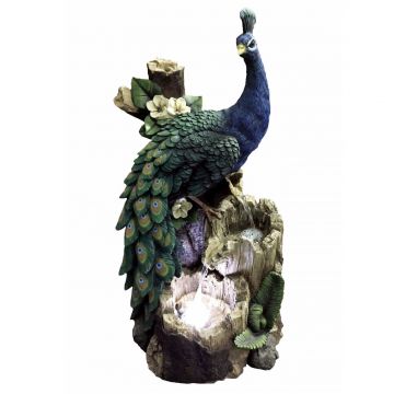 Peacock on Tree Trunk