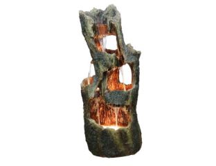 5 Fall Open Tree Trunk