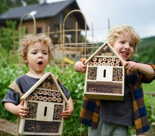 Key Elements for a Wildlife-Friendly Garden